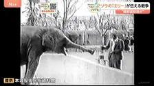 新「映像」発見　80年の時を経てゾウの「エリー」が伝える戦争 “戦時猛獣処分” 絵本「ごめんねメリー」原画も展示　熊本【戦後80年つなぐ、つながる】