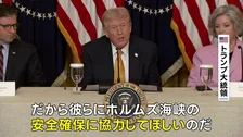 トランプ大統領が日本など名指し ホルムズ海峡での石油タンカーの安全な航行めぐり「喜んで協力すべき」
