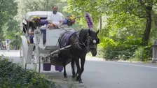 アメリカ・NYセントラルパークから「観光馬車」が消える？150年続く名物で初の死者 「廃止」めぐり賛否　今月（9月）にも法案審議へ
