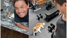【 いぬ 】照英の愛犬「パピコ」が「監督」に　「ベンチプレス120kgあげる事が、今の目標だ！」