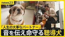 全国にわずか50頭 音を伝えて命を守る“聴導犬” 聞こえない世界を支える「人生の大事なパートナー」【news23】