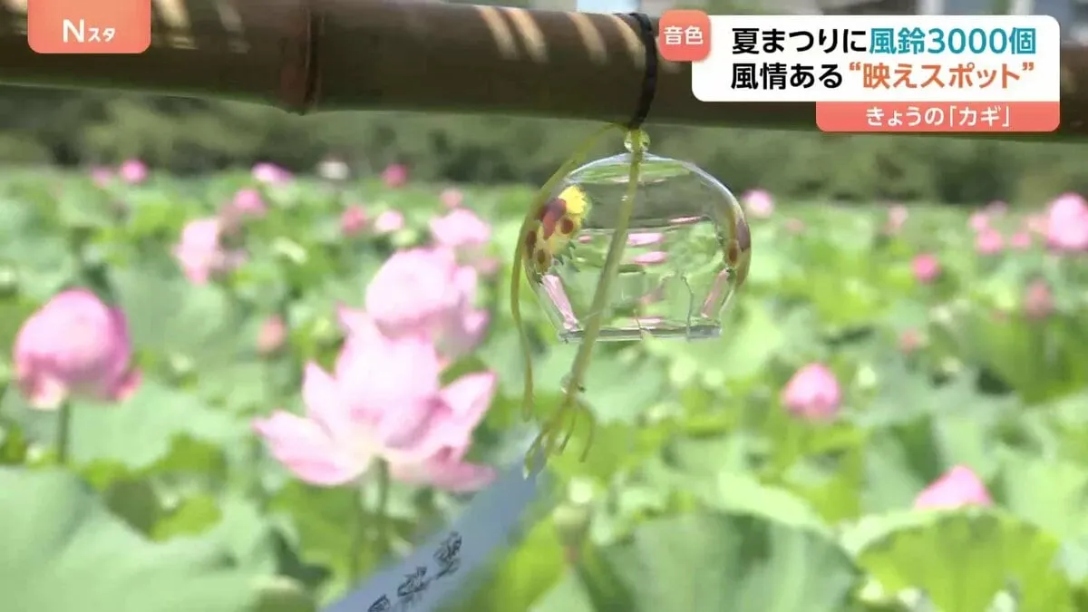 「涼しい気持ちになる」3000個の風鈴×ハスの花の“涼＆映えスポット”が東京・上野公園に登場『うえの夏まつり』