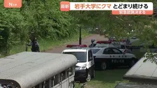 岩手大学にクマが出没・敷地内に留まる　「緊急銃猟」盛岡市内で初の実施を決定　麻酔銃による捕獲・駆除へ