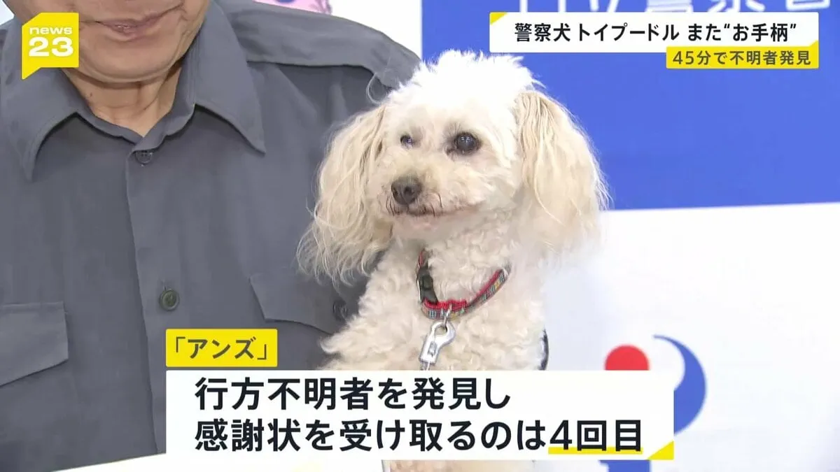 行方不明を見つけて4回目の感謝状　トイプードルの「アンズ」が高齢男性を発見　パジャマのにおいを手がかりに