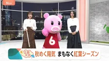 【10月13日 関東の天気】秋めく陽気 まもなく紅葉シーズン