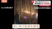 きのう鎮圧も夜に再び延焼　埼玉・秩父市の山林火災「集落の上のあたりから火が発生したような」 自衛隊に災害派遣要請