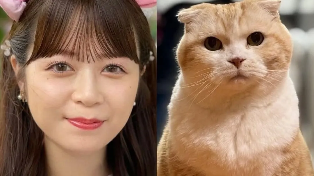 【 ねこ 】山内彩加さん　16歳の愛猫・ちゃっぴー “よく吐く” 　心配も「空腹で吐いてます」診断受けて “夜食モリモリ”