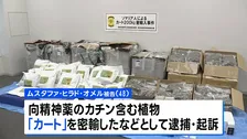 違法薬物含む植物「カート」で初摘発　ソマリア国籍の男（48）を逮捕・起訴　約250キロを押収　麻薬取締部