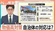 物価高対策に「おこめ券」？現金？ポイント？それとも…各自治体の対応は【Nスタ解説】