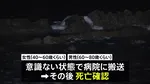 海岸で「男女2人が溺れている」と通報　2人は意識ない状態で病院に搬送、死亡確認　茨城・ひたちなか市