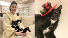 【 ねこ 】藤あや子さんの愛猫・マル「ハロウィンといえばボク」 黒が似合う帽子でコスプレ フォロワー反応「ジュリーみたい」