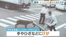 イノシシが男性に襲いかかる様子がカメラに…愛知・豊田市の給食会社で50代と60代くらいの男性従業員2人がけが