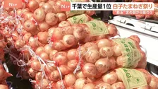 人気の新玉ねぎ10キロ2000円　千葉・白子町で“たまねぎ祭り” 「全然違いますね味が」辛み少なく濃厚な甘さが特徴