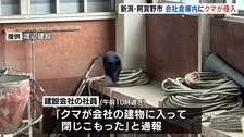 会社の倉庫にクマ立てこもる 新潟・阿賀野市 市と猟友会が麻酔銃やおりで捕獲検討