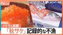 秋サケ不漁で高騰「1切れ約500円」救世主となるか JR四国やNTTなど「サーモン養殖」に異業種が続々参入【Nスタ解説】