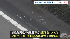 東北道で道路上にいた男性を乗用車がはねる　男性は死亡　警察は男性が高速道路にいた経緯など捜査　埼玉・蓮田市