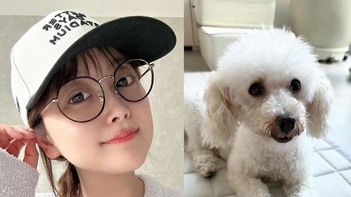 【 鈴木奈々 】 「新しい家族が増えました」　5匹目の保護動物を迎え入れ喜び　白いふわふわトイプードルが仲間入り