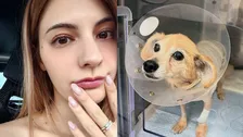 【 マギー 】「３月に急性肺水腫になり通院と投薬生活」“13歳になる愛犬” 手術と術後の経過を報告