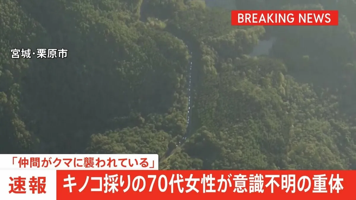 「仲間がクマに襲われている」70代女性が意識不明の重体　4人でキノコ採り中襲われる　1人はすでに下山　宮城・栗原市の栗駒山