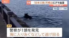 「日本三景」京都・天橋立にクマ出没　カメラが捉えたクマ…山形では旬のサクランボに被害