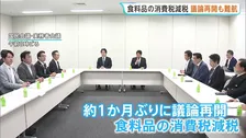 「国民会議」が食料品の消費税減税に向けた議論再開　各党で意見の隔たり埋まらず