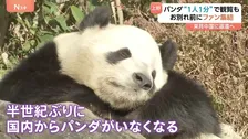 日本から半世紀ぶりにパンダがいなくなる…双子パンダ中国へ返還　16日から観覧は“1分制限”