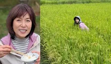 【 磯野貴理子 】自身の田んぼを手入れ「今のところ稲は順調に育ってます　来月はいよいよ稲刈り！」