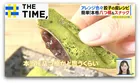 「餃子の皮」で本格“八つ橋”…アレンジ無限大で“ラザニア”や“タコス”も絶品【THE TIME,】 