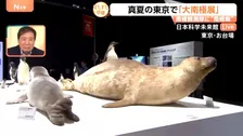 真夏の東京に南極！？日本科学未来館「大南極展」…“南極飯”一番人気のメニューは？【Nスタ】