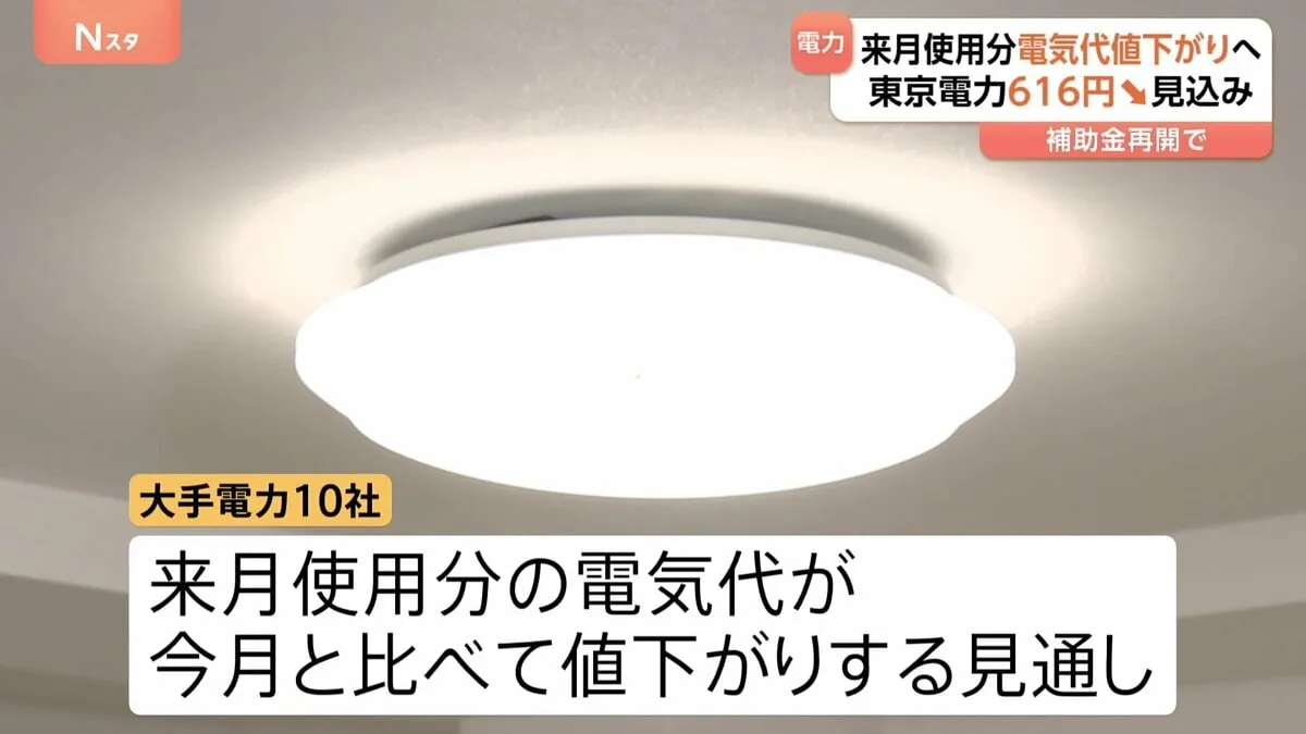 来月使用分の電気代は全社値下がりへ　東電は616円↓　政府の補助金再開で