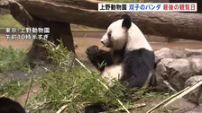 もうすぐさよなら　上野動物園の「双子パンダ」最後の観覧日　抽選倍率は24.6倍　国内は54年ぶりにパンダ不在へ