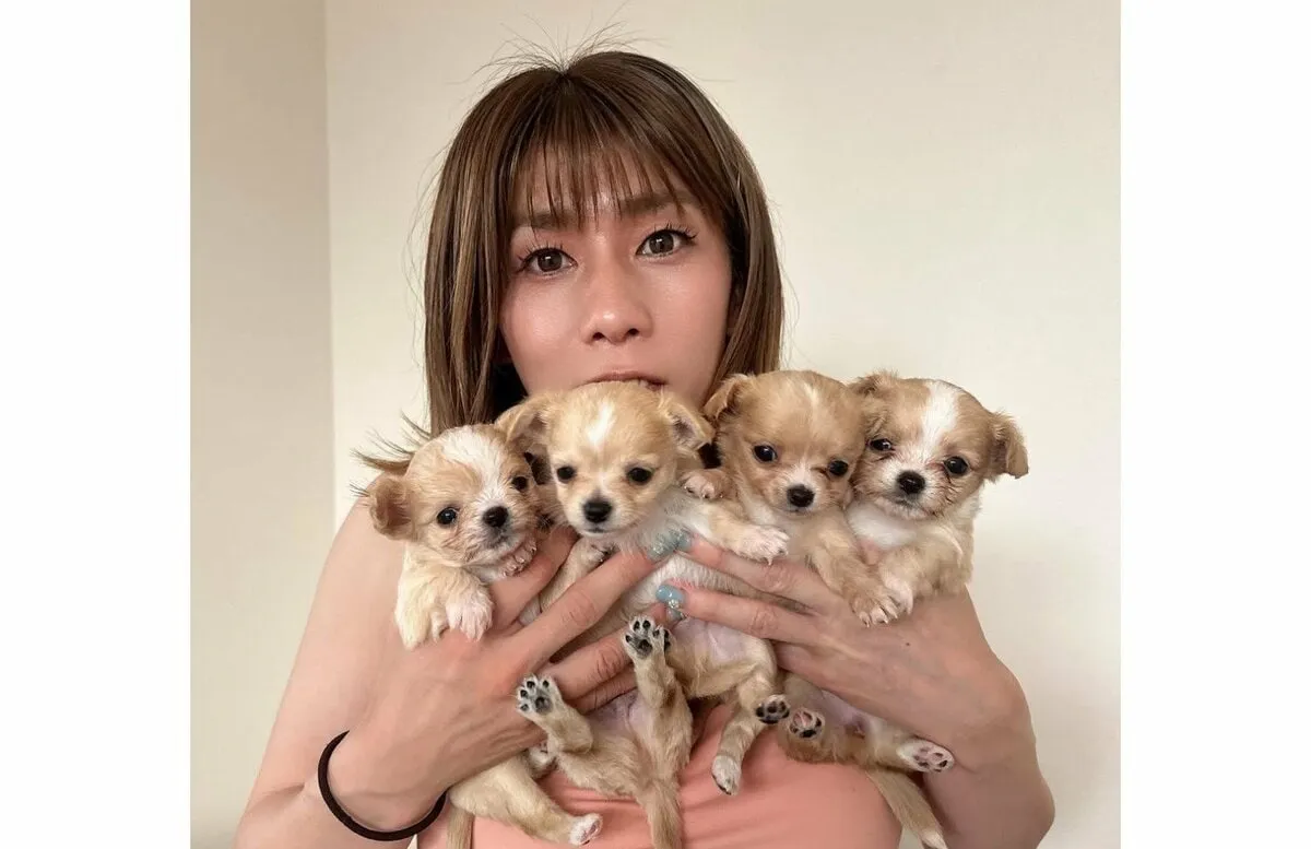 【 いぬ 】吉田沙保里さん　子犬にメロメロ　「もう可愛すぎて…ずっーと見てられるし　離れたくなかった…❤」　【写真７枚】
