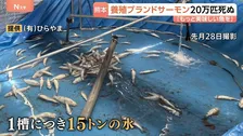 【令和8年熊本地震】20万匹のブランドサーモン死ぬ…それでも「もっと美味しい魚を」地震から1か月　復旧に挑む養殖業者　全国から支援も