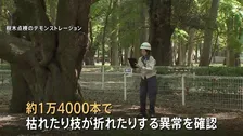 都内の樹木80万本を緊急点検　1万4000本に枝が折れたりするなどの異常　小池百合子都知事 「スピード感をもって植え替え進める」