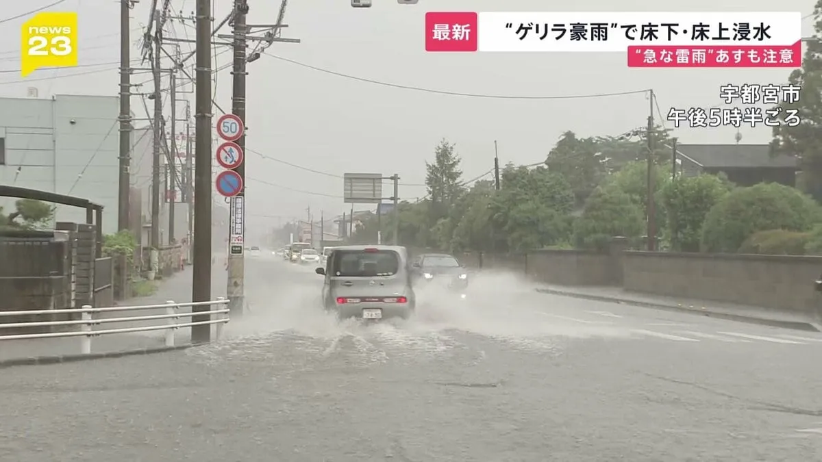 宇都宮市付近で1時間に約110ミリの猛烈な雨　床下・床上浸水も　4日もゲリラ豪雨に注意【news23】