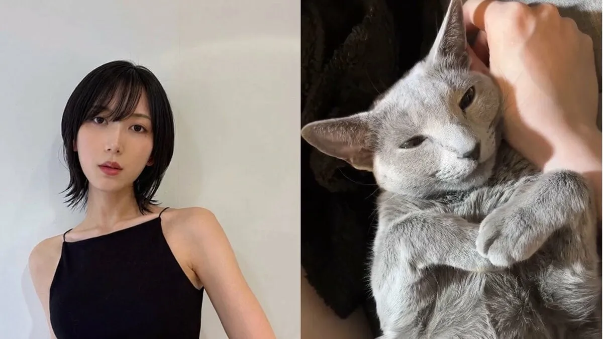【ねこ】光宗薫さん「絵の監督してくれる」のは愛猫　 “けむりねこ先生” 　監督中でも「ストイック睡眠」身体を細めて身を寄せる