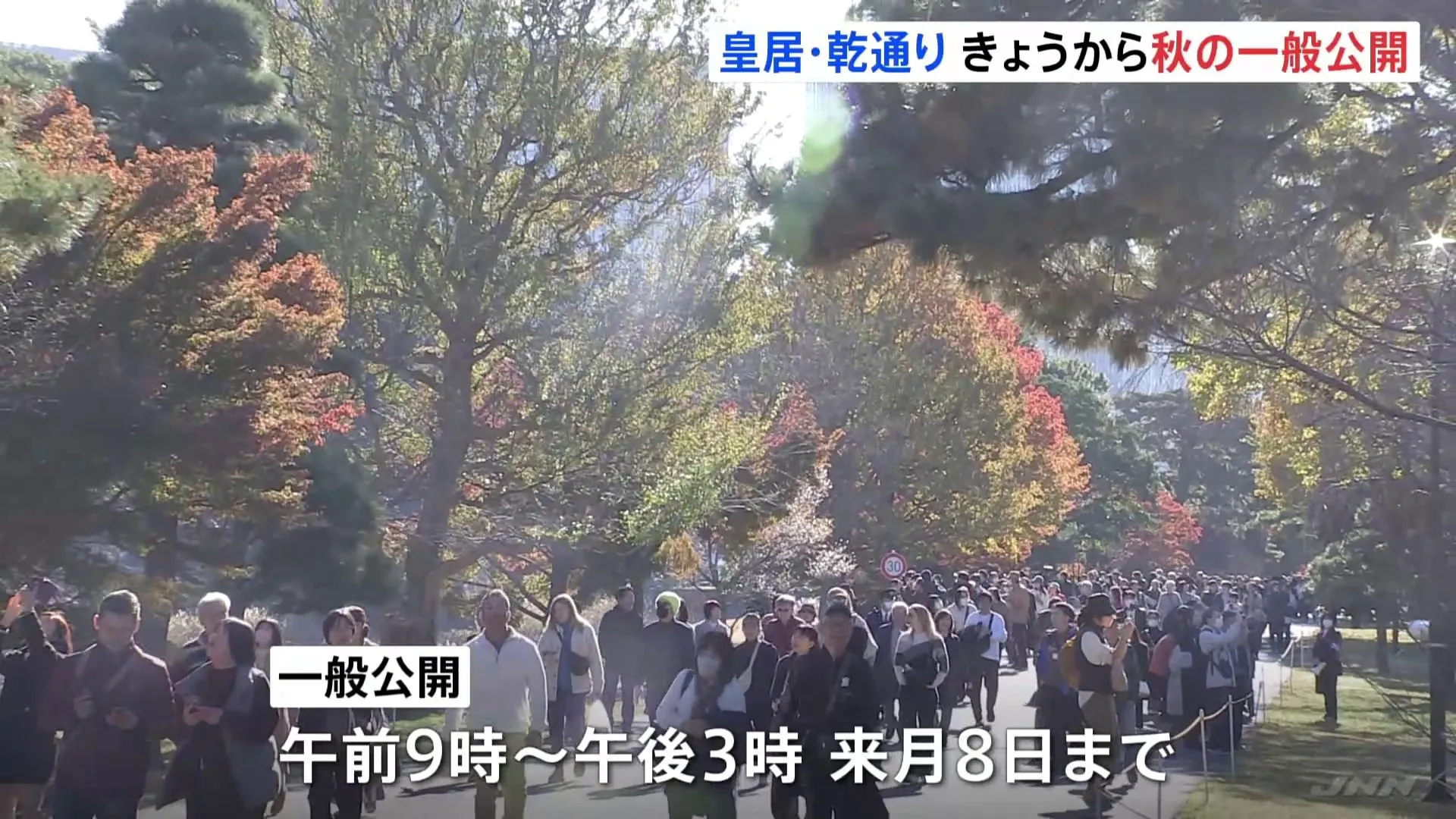 秋の紅葉　皇居・乾通りをきょう（30日）から一般公開　坂下門から乾門まで約750メートル　午前9時から午後3時まで　12月8日まで実施