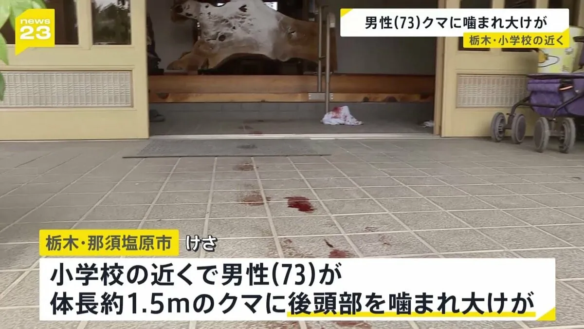 小学校の近くで…73歳男性がクマに頭噛まれ大けが　登下校に保護者の付き添い要請　栃木・那須塩原市