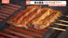 「うなぎは今が一番おすすめ」値下げする店が増加中！　豊漁で卸価格が昨年比25％減