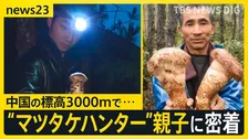 【秋の味覚の王様】中国の標高3000mで「巨大マツタケ」を発見…一攫千金を狙う“親子ハンター”に密着…父の背中追う息子は「マツタケ王になりたい」【news23】