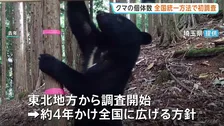 クマの個体数　全国統一の手法で初調査　800台以上のカメラを設置しクマの胸の模様で個体を識別　きょうから