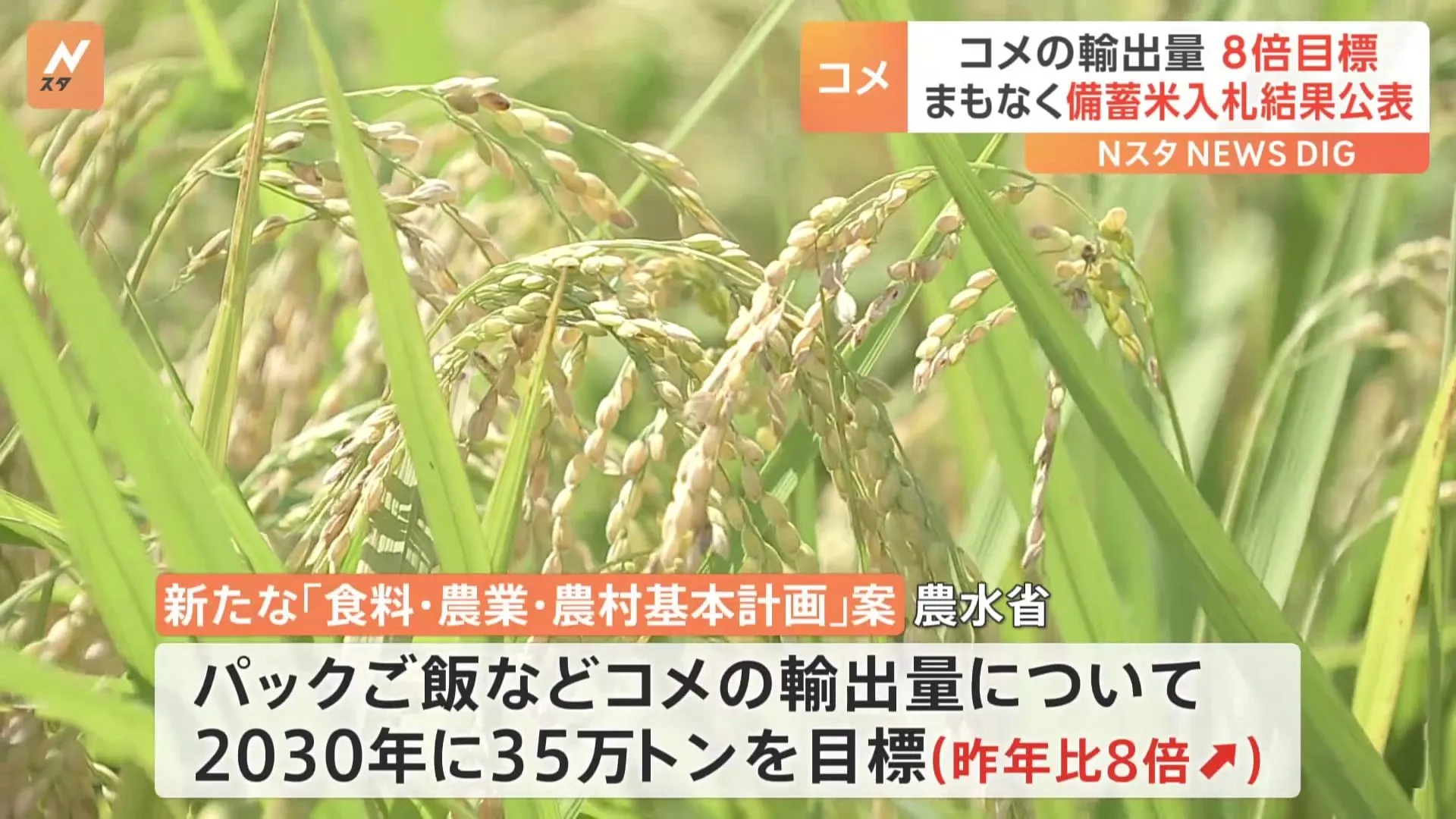 政府、コメの輸出をいまの8倍近くまで増やす目標掲げる　国内がコメ不足に陥った場合は活用する考え