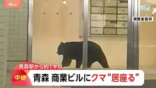 10人以上が取り残される　青森市内の商業ビルにクマ1頭が居座り　300m離れた駐車場でもクマ目撃…別の個体か　緊急銃猟も検討
