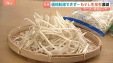 食卓の味方！価格の優等生！もやしにも値上げの波が…事業停止の業者もいま増加「価格転嫁しづらい」ことが原因で…