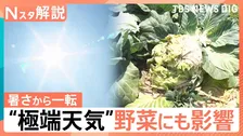 “極端天気” 異例の暑さから一転…21日（木）から気温急降下、24日（日）頃から1週間 “10年に1度”の著しい高温【Nスタ解説】