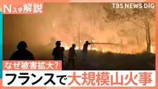焼失面積は東京23区超え…フランスで猛威ふるう山火事　「高温×乾燥」が延焼の原因に？【Nスタ解説】