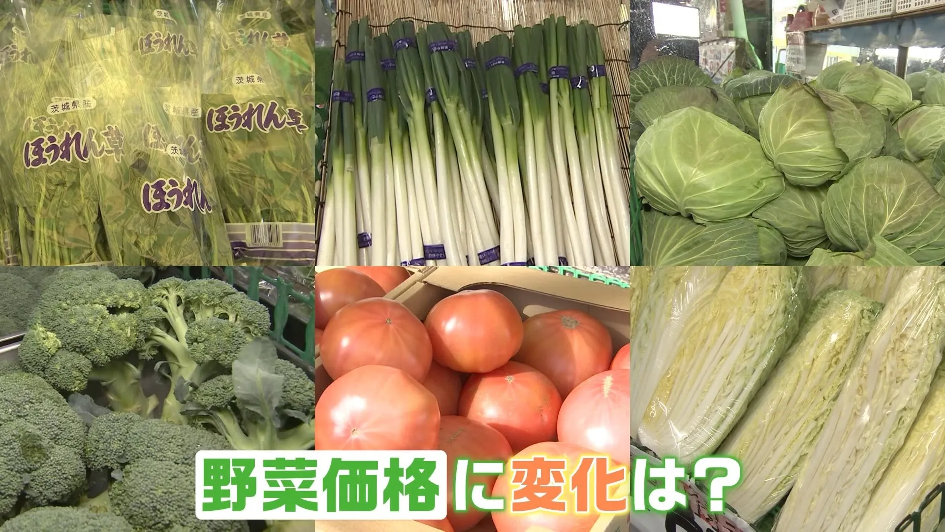 「前より安くなった」野菜価格の高騰に変化！トマトとキャベツが今“お買い得”に？