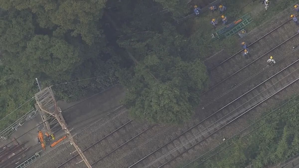 【速報】京王線で列車と倒木が接触　一部区間で運転見合わせ　京王電鉄　午後1時半現在