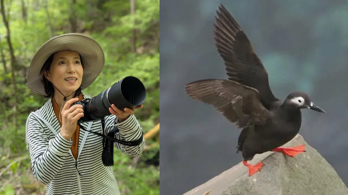 【 磯野貴理子 】　北海道・天売島で「海鳥のケイマフリ見てちょ」 黒い体と鮮やかな赤い足の海鳥の姿を公開