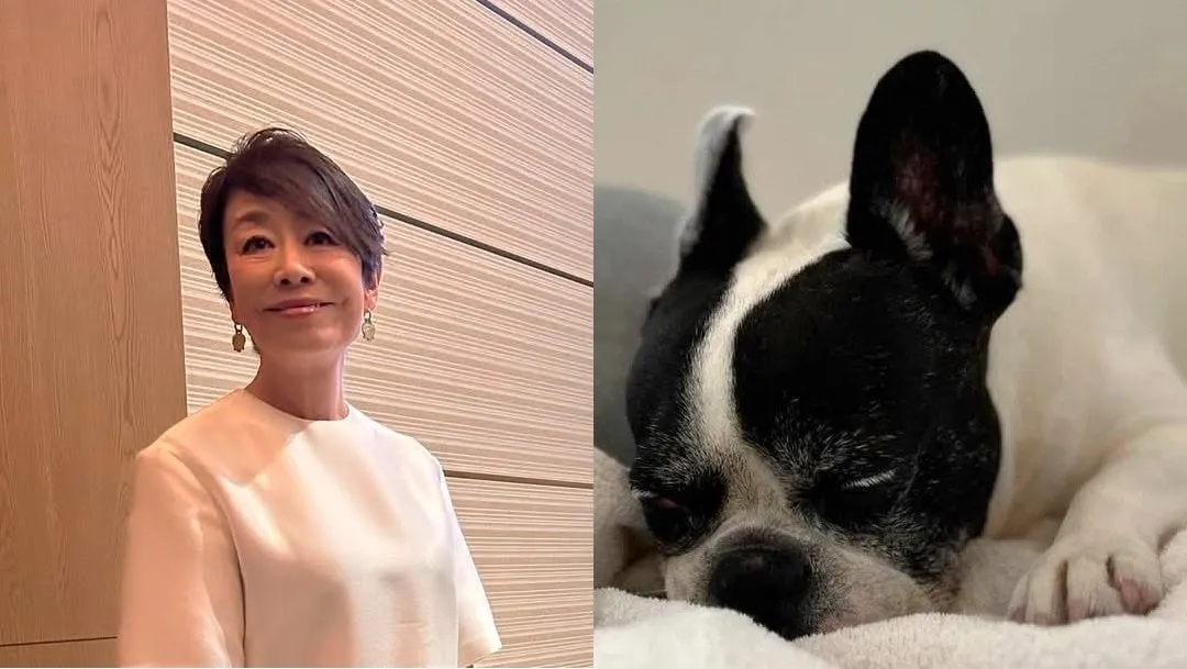 【 いぬ 】安藤優子さんの愛犬・リン「V字回復」決め手は「適切な輸液治療」　妹犬・タンは「つかず離れず」良い距離感